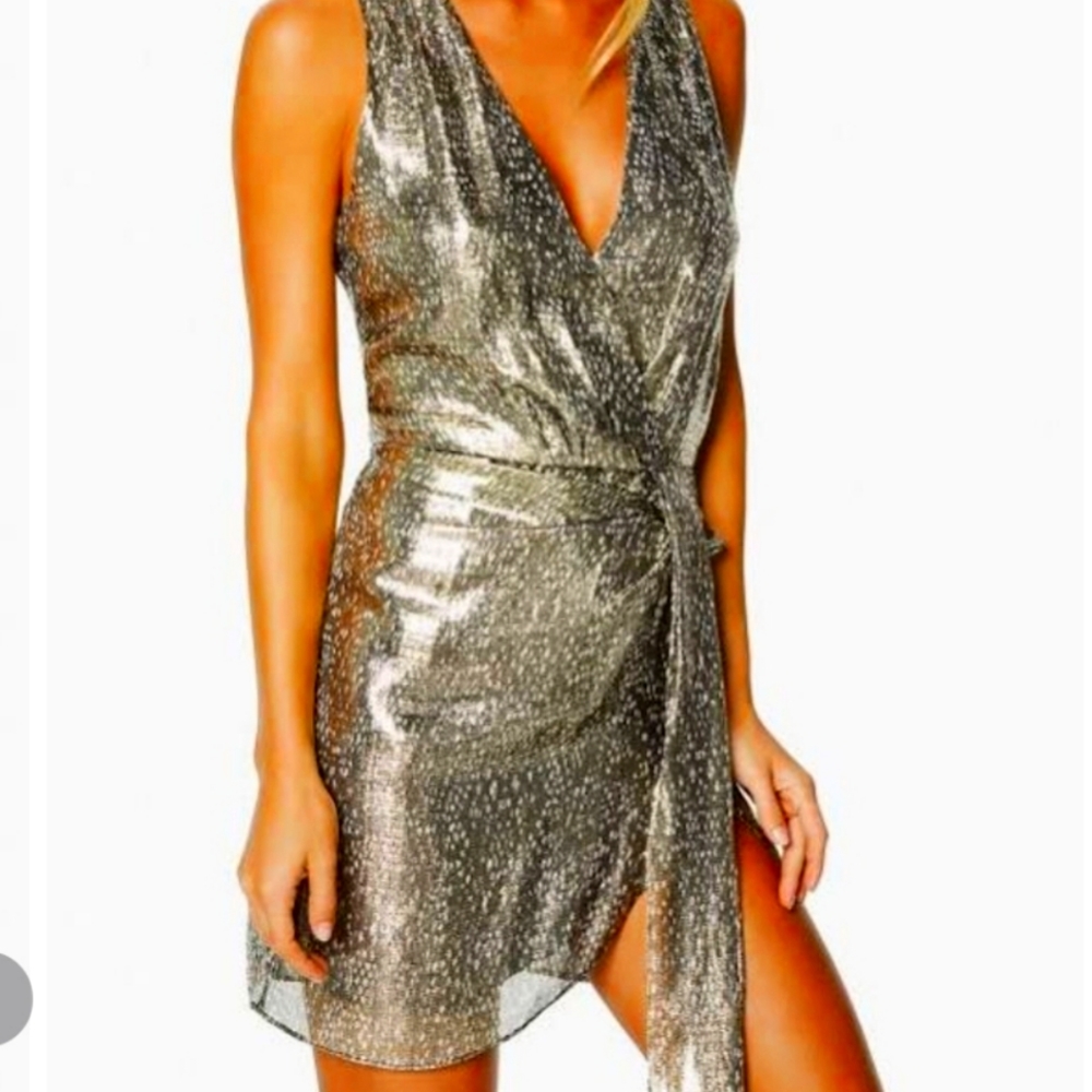 STUNNING metallic Ramy Brooke Mini dress